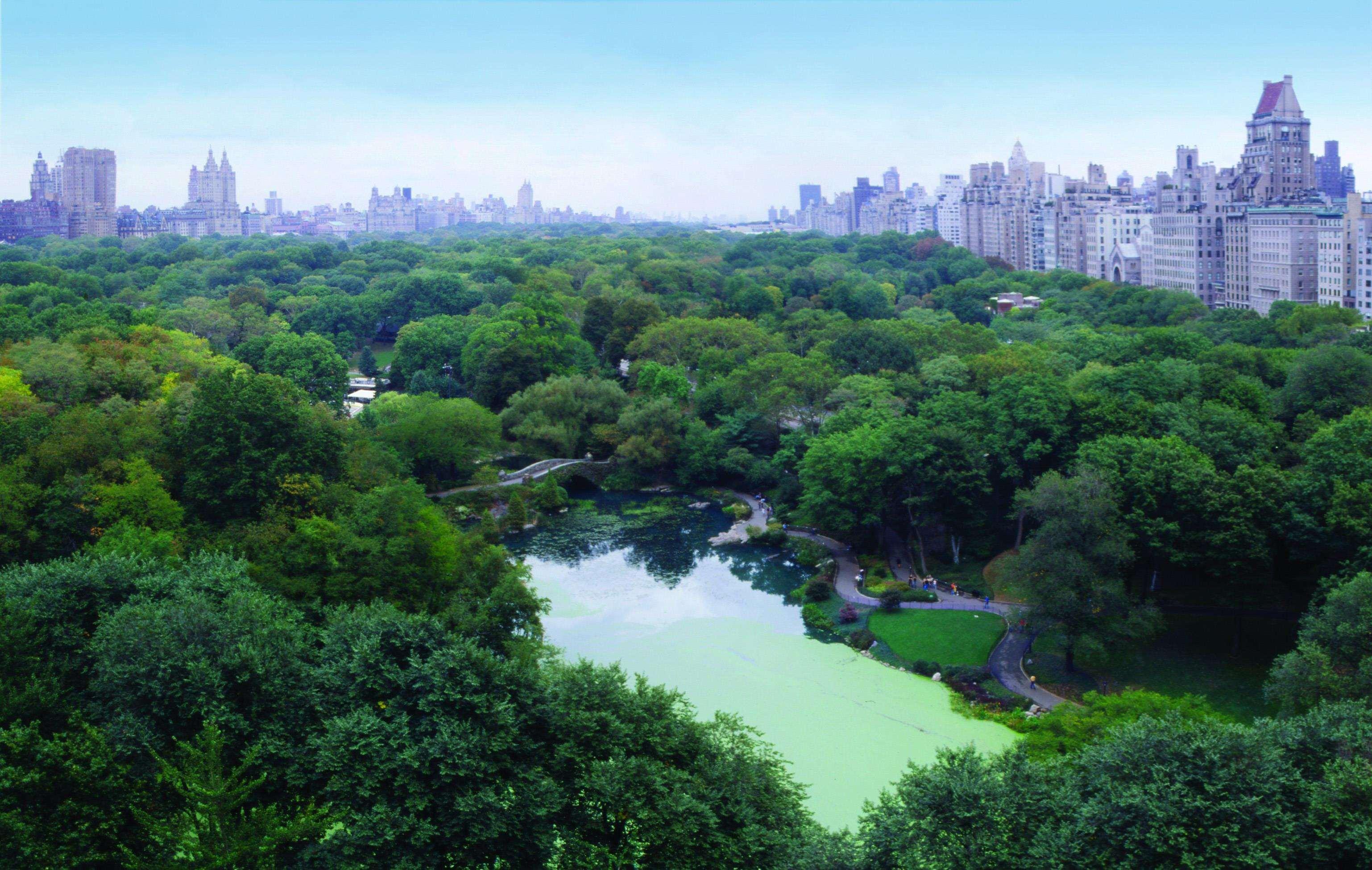The Plaza 5* Nova York